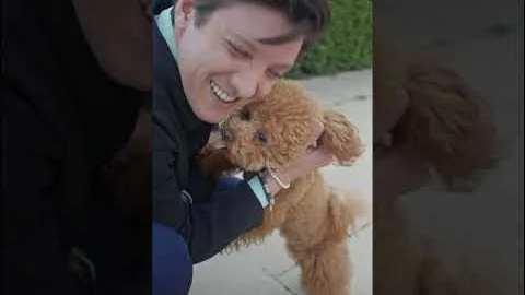 Miniatura del vídeo de Lovall